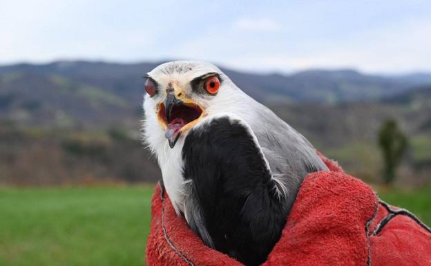 Eguzki dice que la Fiscalía ha dado un «tirón de orejas» a la Diputación por «filtrar» denuncias medioambientales