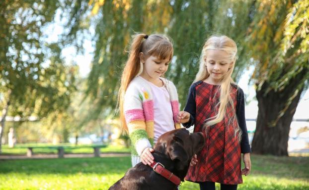 Un estudio determina que acariciar a un perro activa las capacidades sociales del cerebro