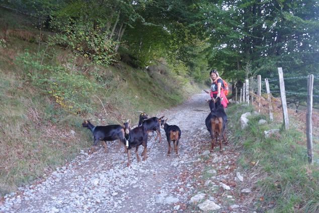 Kurtzebarri, trio de damas