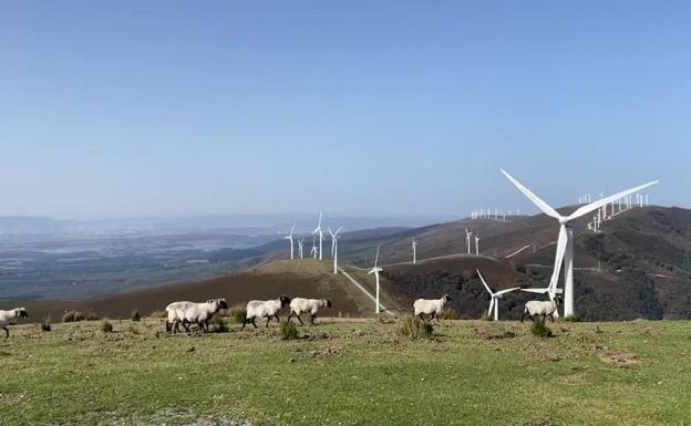 ¿Cómo funcionan los parques eólicos de Gipuzkoa?