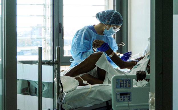 Euskadi supera los 8.000 fallecidos con coronavirus