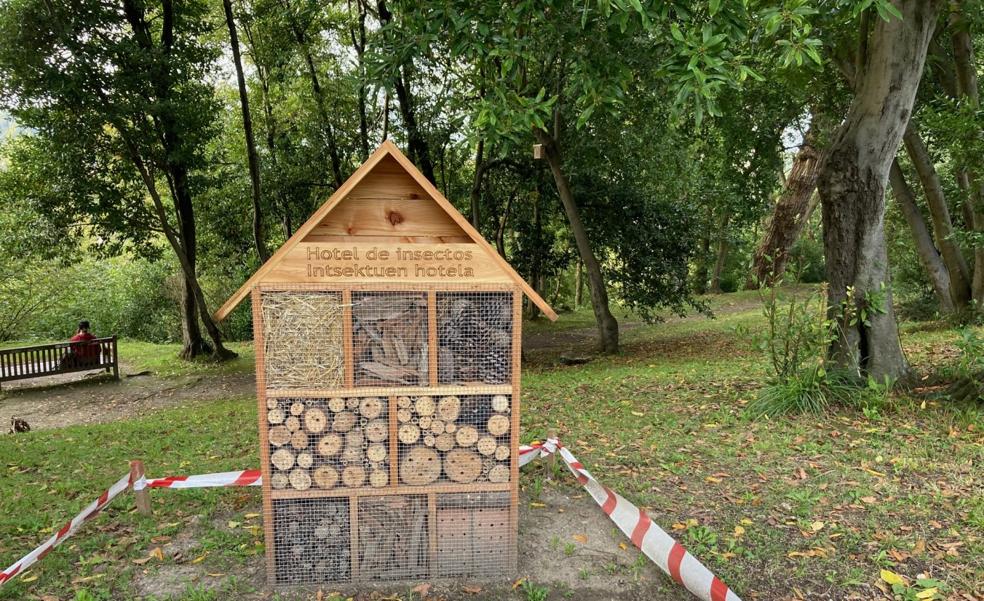 Los insectos también vienen a hoteles