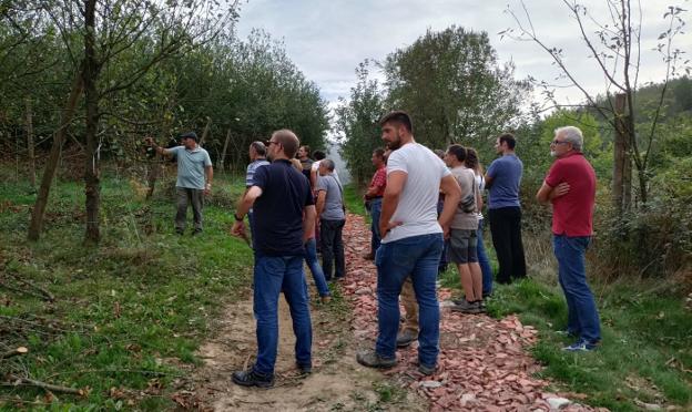 El manzano ecológico de montaña reúne a 25 personas en Juansenea de Doneztebe