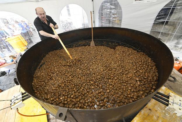 El reino Fungi por excelencia