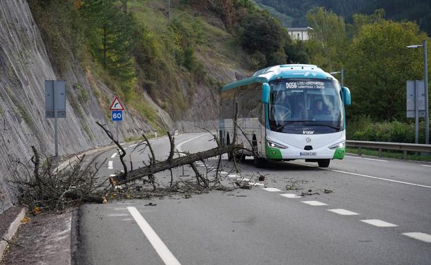 Gipuzkoa contabiliza hasta 171 incidencias por rachas de viento cercanas a los 100 km/h