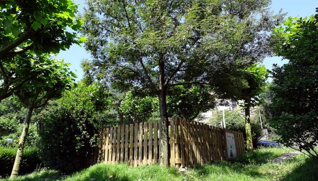 Premio al mejor compost comunitario