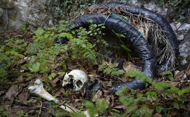 Donde sueñan los muertos