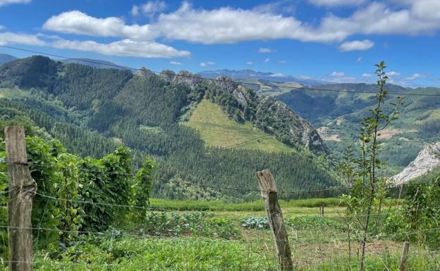 Continúan los trabajos de deslinde de parcelas rústicas