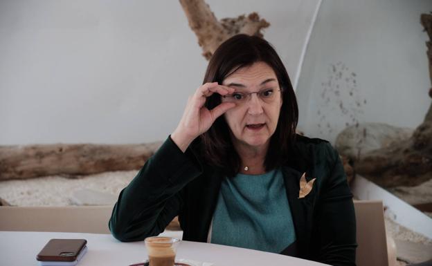 «Bruselas va a mirar la fusión MásMóvil-Orange con lupa de gran aumento»