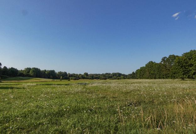 El Ayuntamiento topografíará los límites de los terrenos rurales