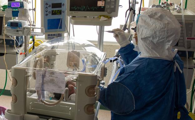 El Parlamento Vasco insta a Osakidetza a reforzar los protocolos del duelo perinatal