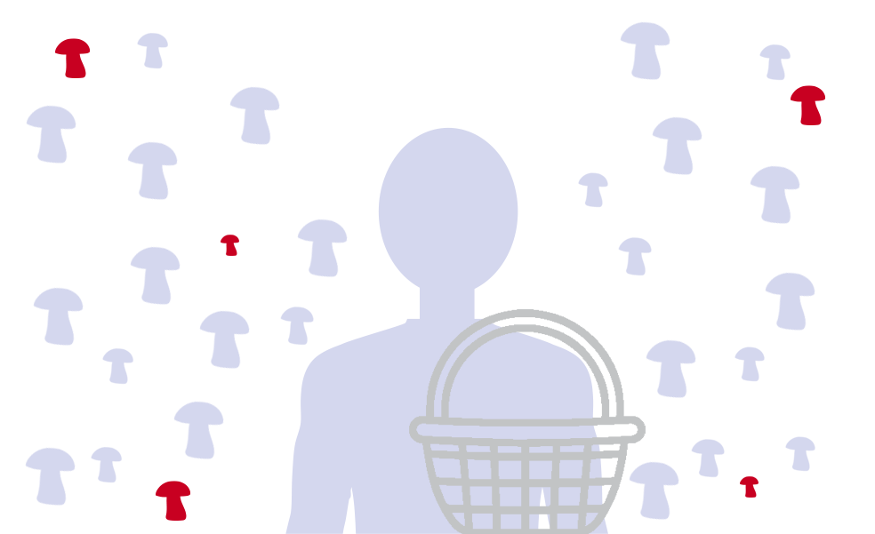 El varón intoxicado sigue grave en Cruces tras ingerir 'Amanita Phalloides'