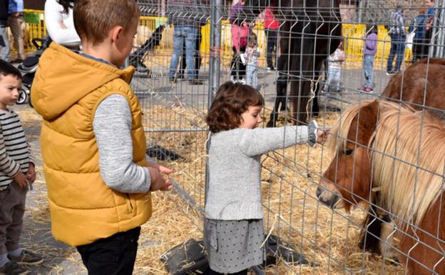Azoka jendetsua ospatu zen Berastegin