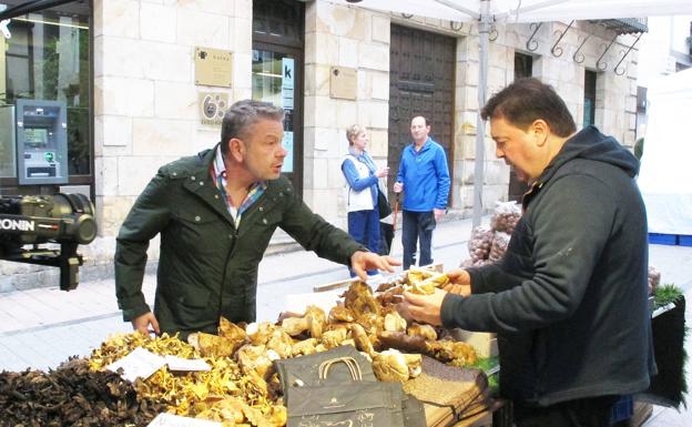 Alberto Chicote pregunta por las setas en la feria de Ordizia