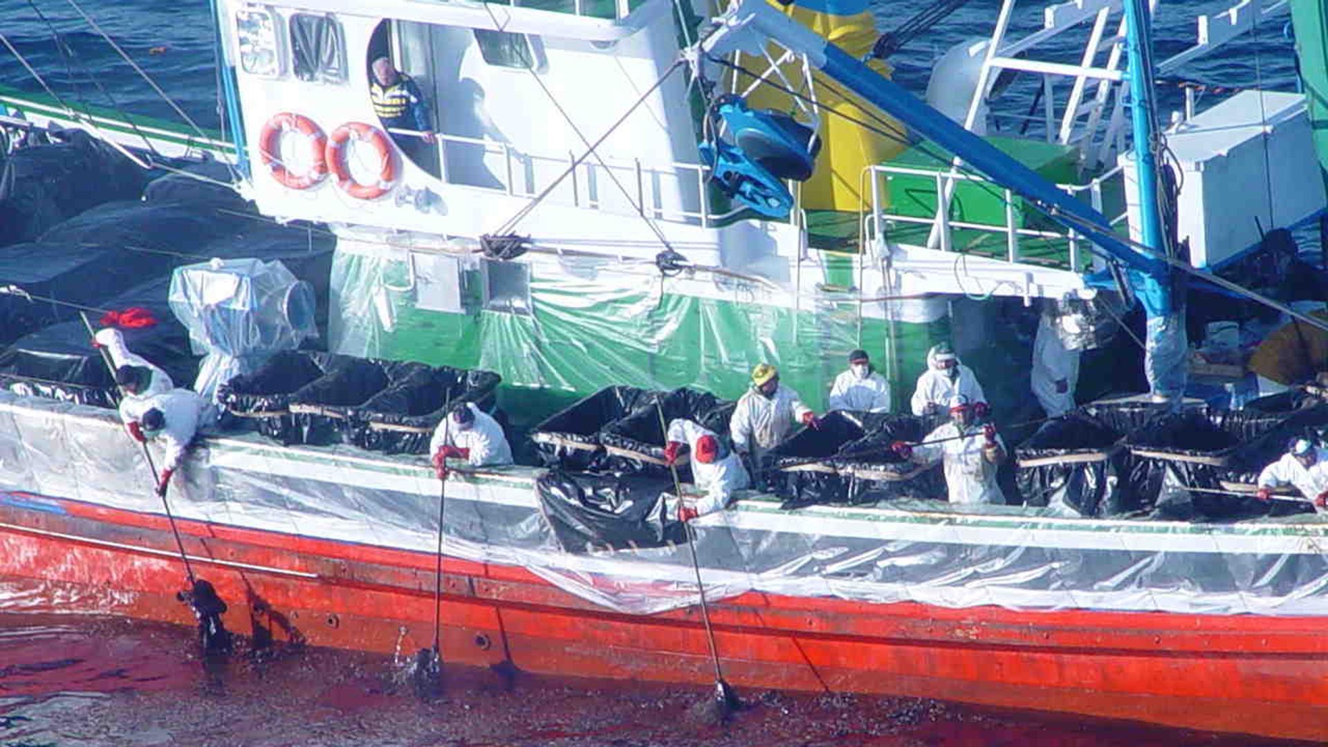 «Si no es por el trabajo de los arrantzales igual aún teníamos chapapote en el bañador»