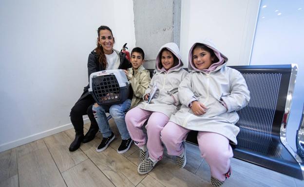 El frenético ritmo de las clínicas para mascotas