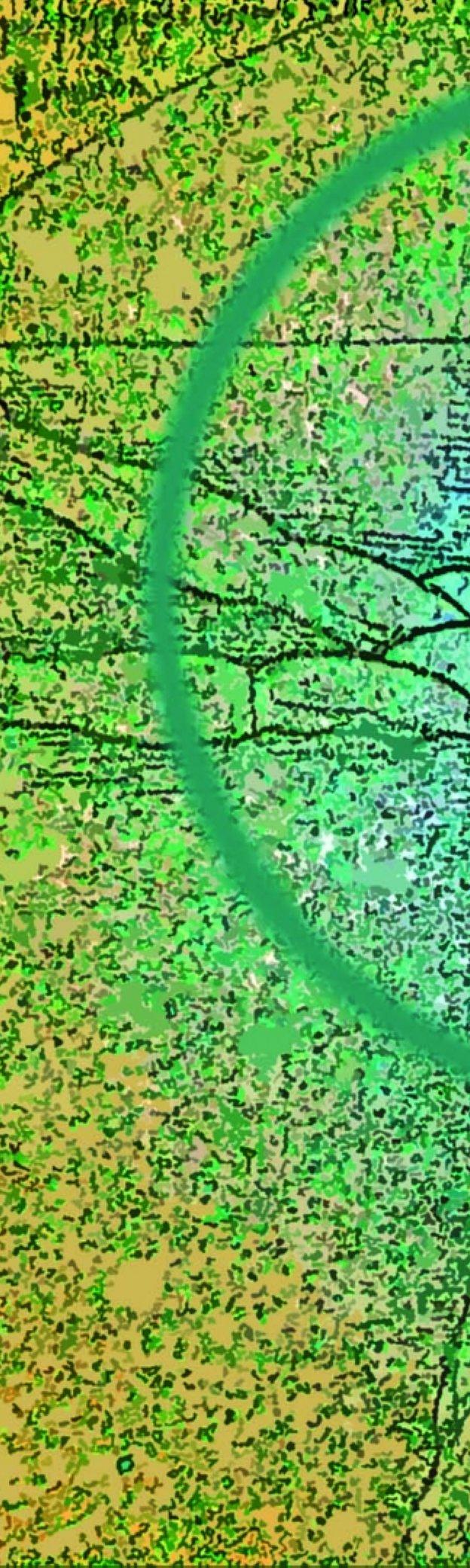 Personas con talento