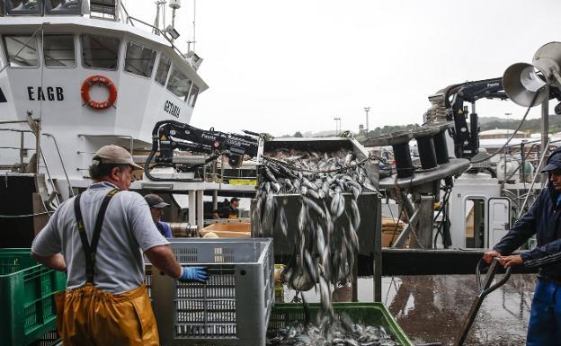 El cierre de la UE a la pesca de chicharro preocupa a la flota del Cantábrico