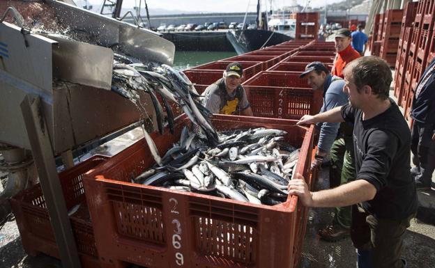 La UE acuerda aumentar un 20% la cuota de verdel y reduce un 96% el del chicharro