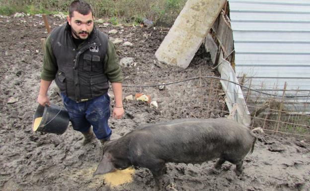 Txerrinsky, Santamasetako 'erregina'