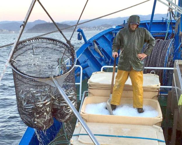 Txitxarroaren kuota asko murriztu du Europar Batasunak 2023ra begira