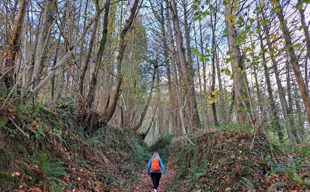 Murgil, precioso en su pequeñez