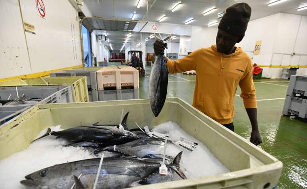 Los afiliados extranjeros copan siete de cada diez nuevos empleos en Gipuzkoa