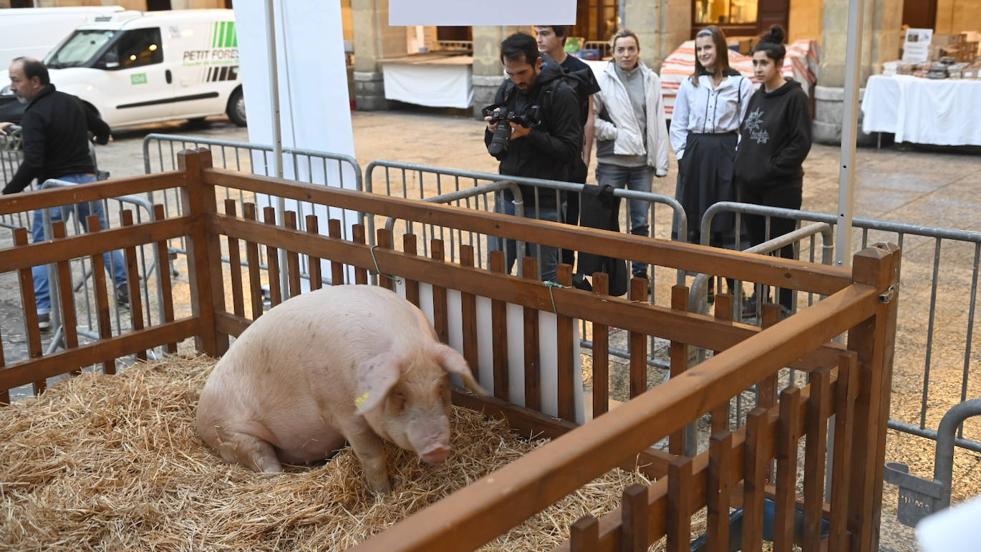 Gipuzkoa disfruta de Santo Tomás a lo grande