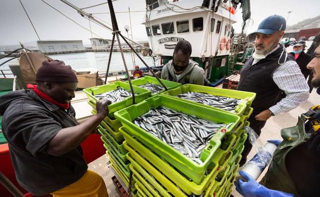 Los arrantzales podrán capturar un 17% más de anchoa en 2023