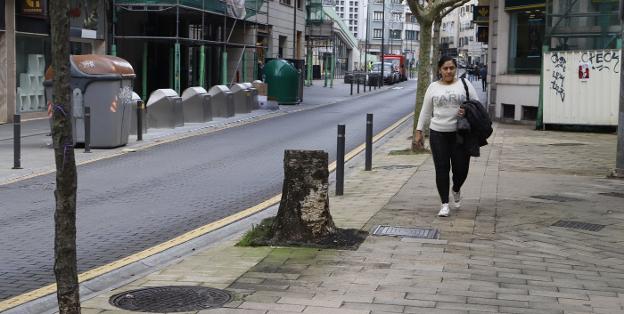 El Ayuntamiento se compromete a reponer los árboles que se talen de la vía pública
