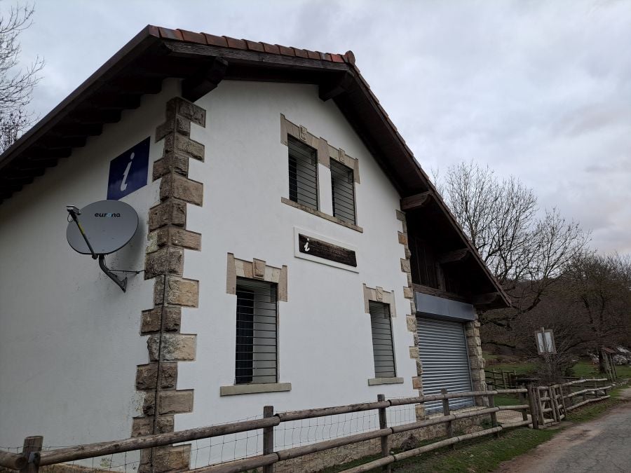 Ruta mágica entre hayedos hacia la cima de Bargagain