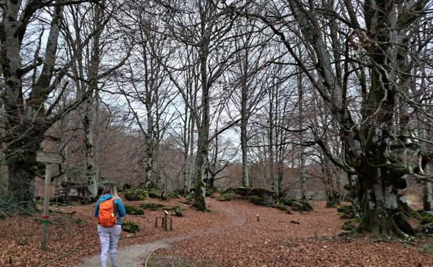 Bargagain, el secreto de Urbasa