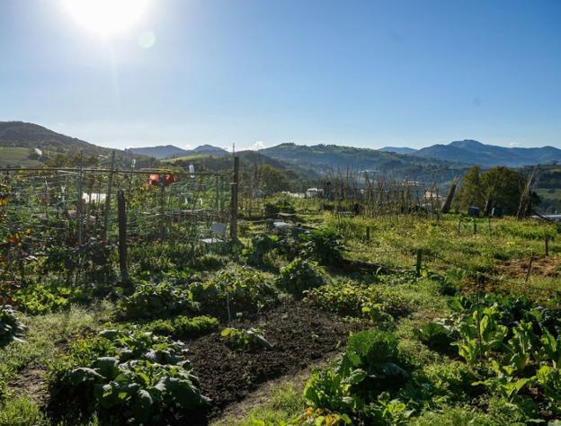 Los ayuntamientos de Legorreta e Idiazabal organizan talleres de cocina con productos locales