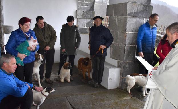 San Anton eguneko bedeinkapena jaso dute animaliek