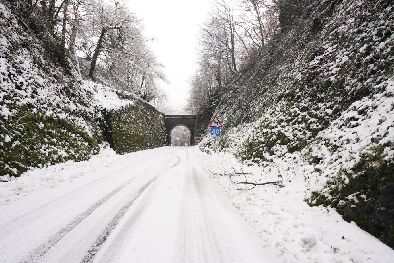 Bidania se tiñe de blanco