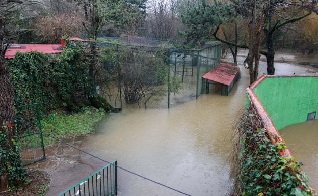El zoo de Santillana sufre la inundación más grave en sus 46 años de historia