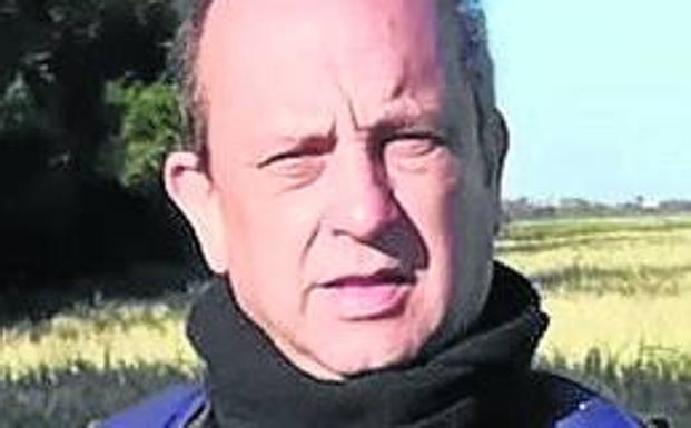 La tórtola, en peligro de extinción en Euskadi