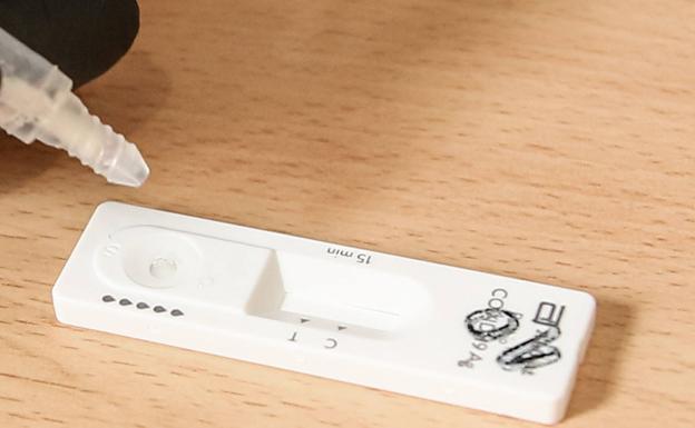 Euskadi registra solo 36 casos diarios de Covid