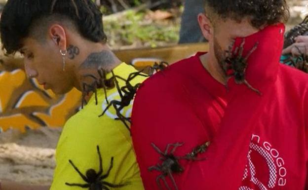 Cacatas, malos rollos y fobias en El Conquistador del Caribe