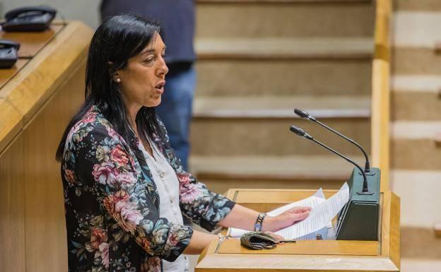 La parlamentaria de Vox acusa al resto de representantes de la Cámara de ejercer «violencia psicológica» contra ella