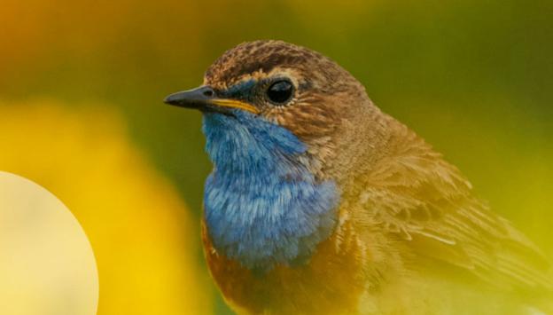 Apertura de la exposición del Geoparque de la Costa Vasca