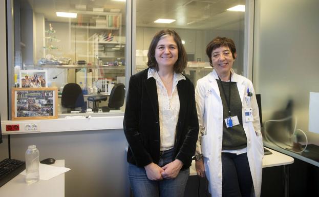 «El conocimiento genético del cáncer está revolucionando la medicina de precisión»