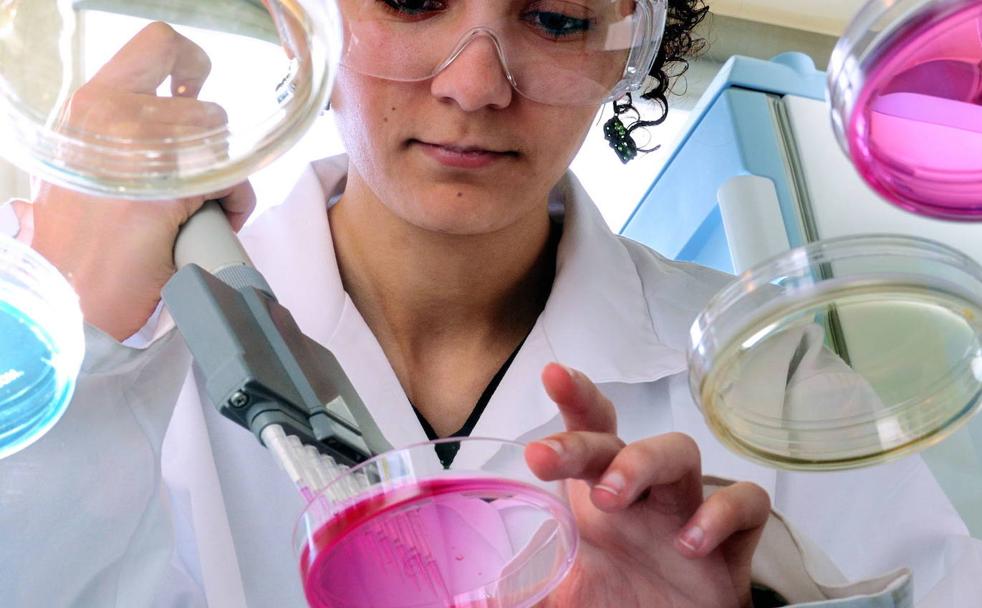 Las mujeres no rompen su techo de cristal en la ciencia