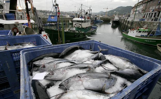 Bruselas baraja una veda de tres meses a la pesca en 2024 en el Golfo de Vizcaya