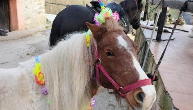 Inauteri festa zaldiaren gainean ospatu zuten Iburren