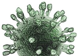periodo de contagio de virus estomacal