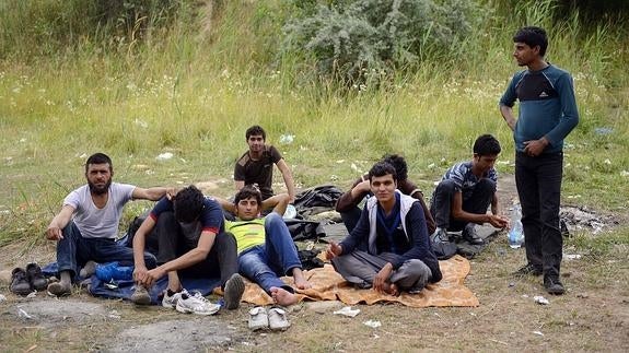 Un número récord de inmigrantes cruza la frontera entre Serbia y Hungría