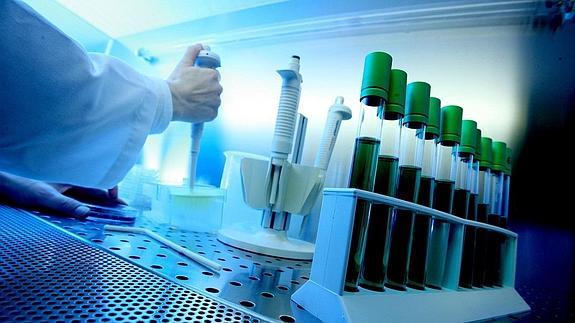 Madrid, Cataluña y el País Vasco, líderes en innovación