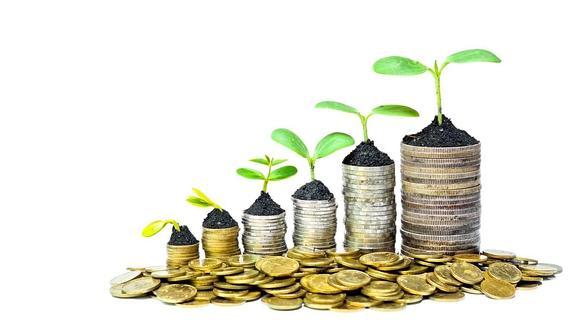 Los terrenos rústicos recuperan atractivo