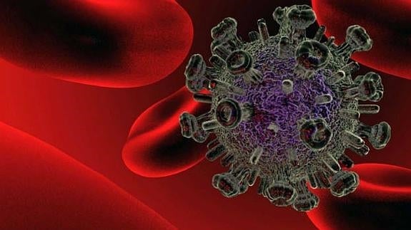 Bacterias intestinales para la recuperación de personas con VIH